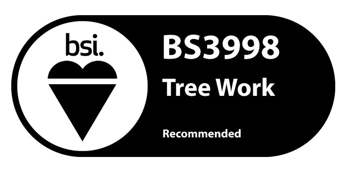 IOSH Logo
